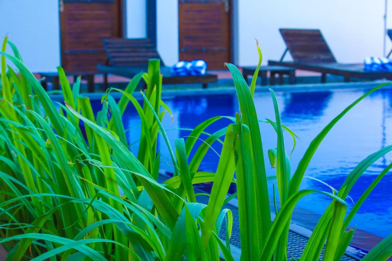 Ali Weta Safari Resort Udawalawe Kültér fotó