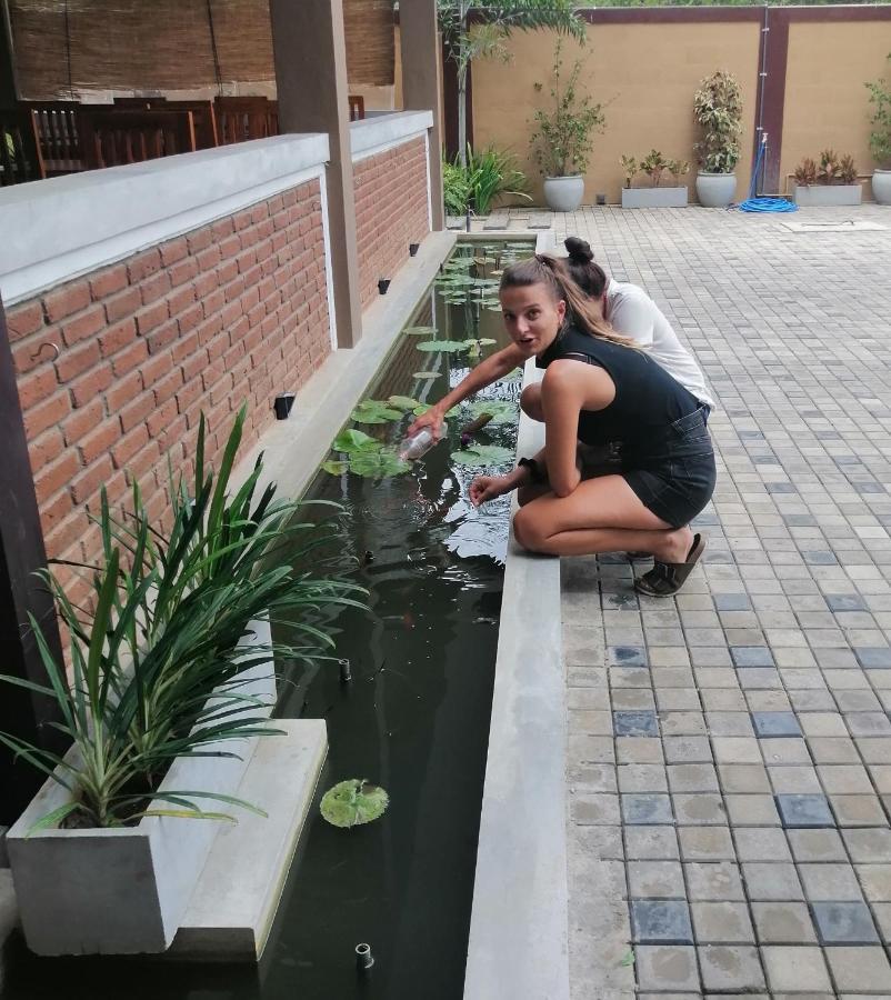 Ali Weta Safari Resort Udawalawe Kültér fotó